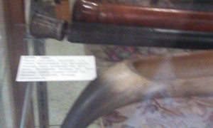 Brigham Young Cane, silver top, dousing rod